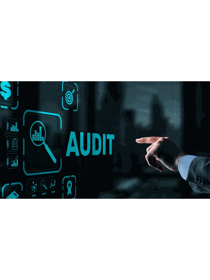 Consulting and auditing